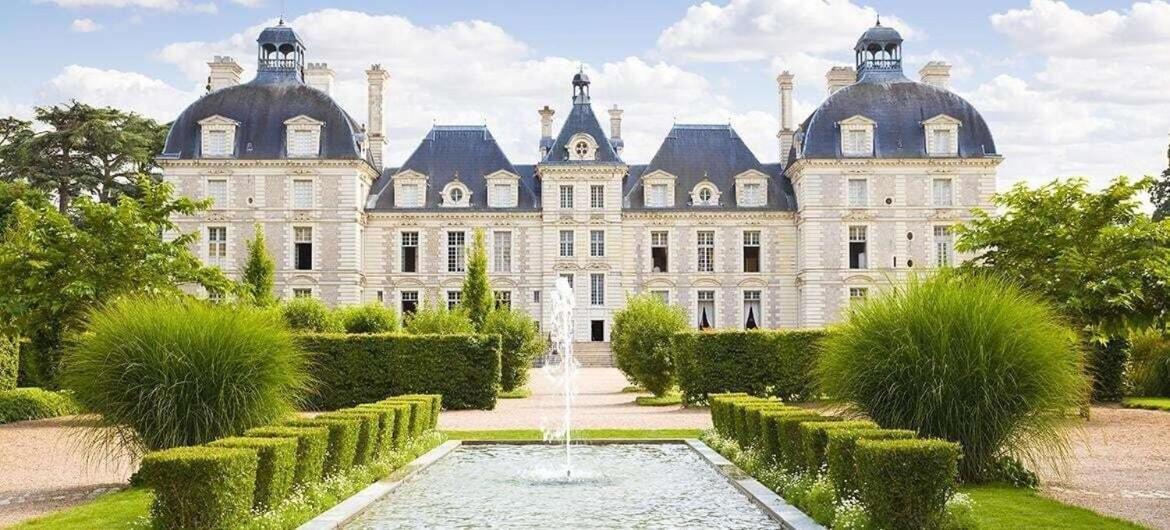 Au Paradis De Sologne Romorantin-Lanthenay Ruang foto