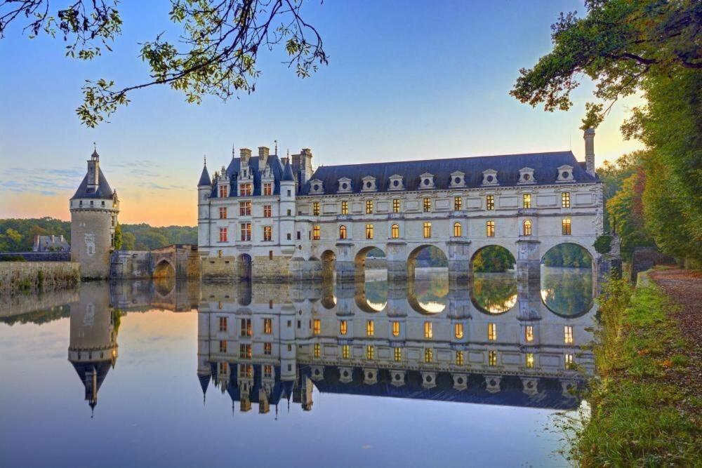 Au Paradis De Sologne Romorantin-Lanthenay Ruang foto